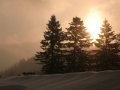 cimg0346