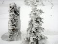 Schneesturm