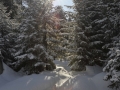 skitour-hochstein-02.jpg