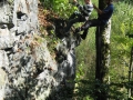 abseilen-bergwacht-aktionstag-260909-in-neureichenau-003.jpg