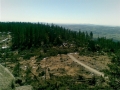 15042007008.jpg